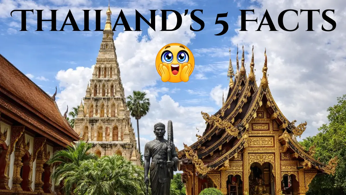 Thailand's 5 Facts That Make This Country Truly Unique 🌏